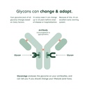The Ultimate Biological DNA Age Test -  GlycanAge